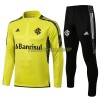 Internacional Sweatshirts Anzüge Suit Quarter-zip 2021-22 Grüne Für Herren